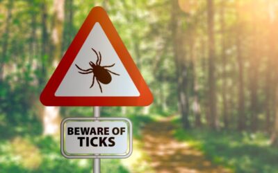 Misdiagnoses of Lyme Disease: The Great Imitator