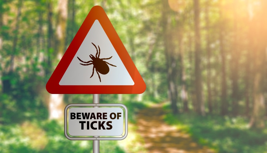 Misdiagnoses of Lyme Disease: The Great Imitator